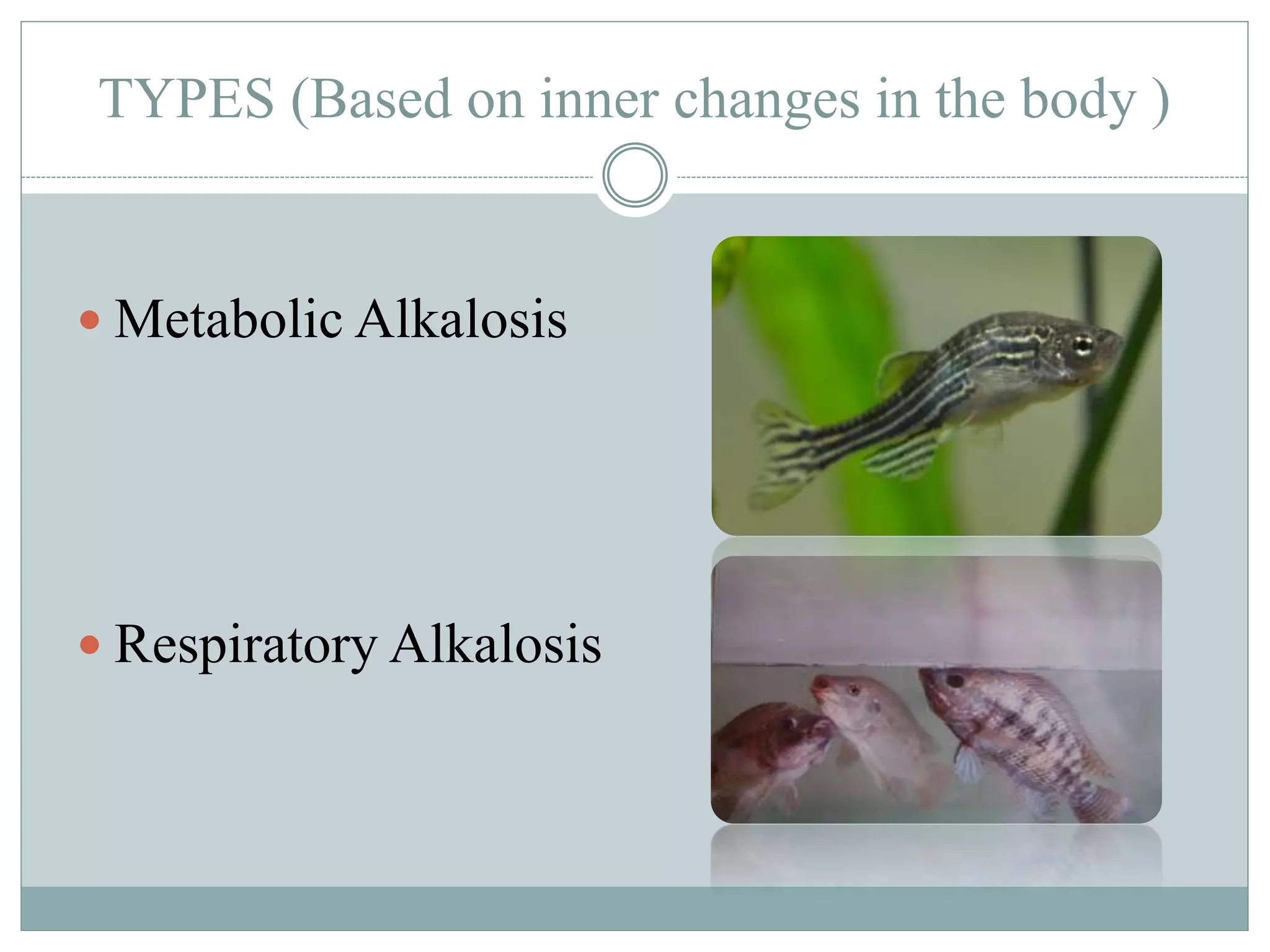 Fish with alkalosis symptoms