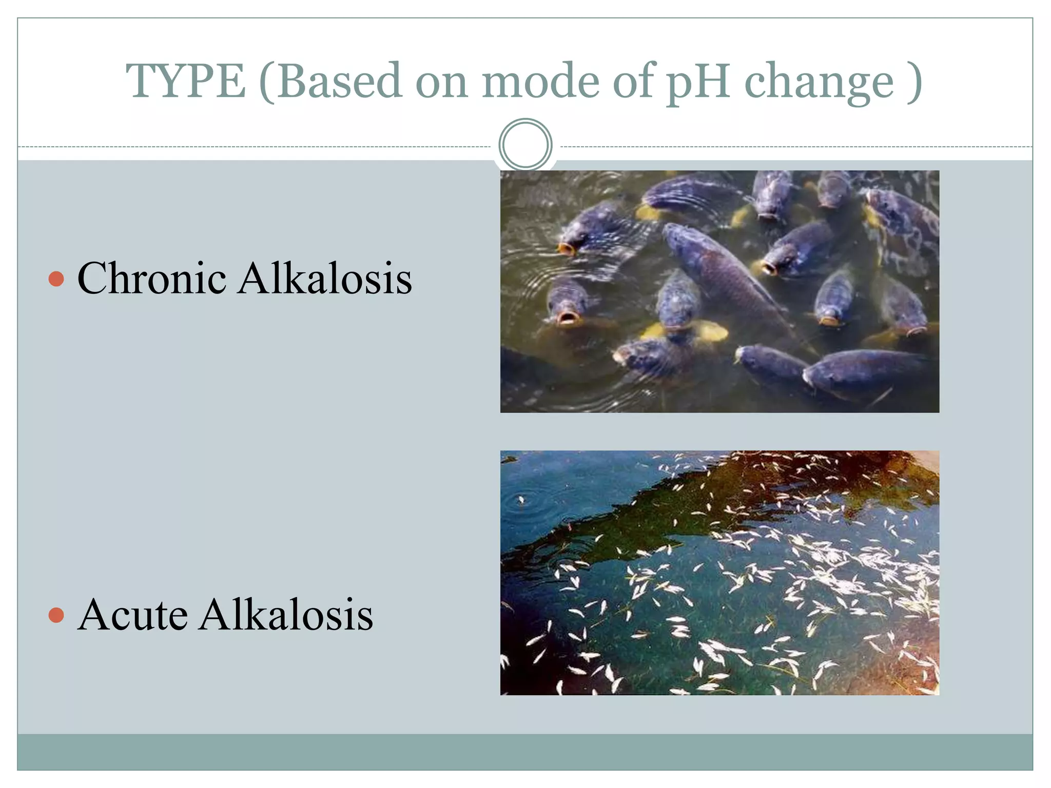 Gills affected by high pH