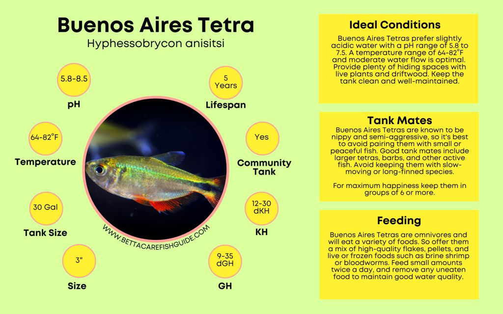 Tetra Care