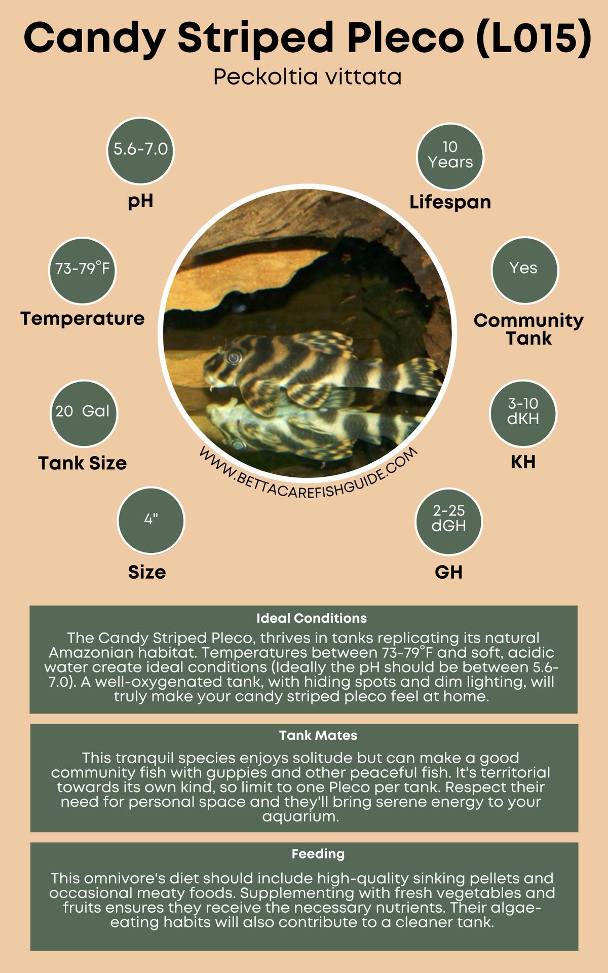 Pleco Care