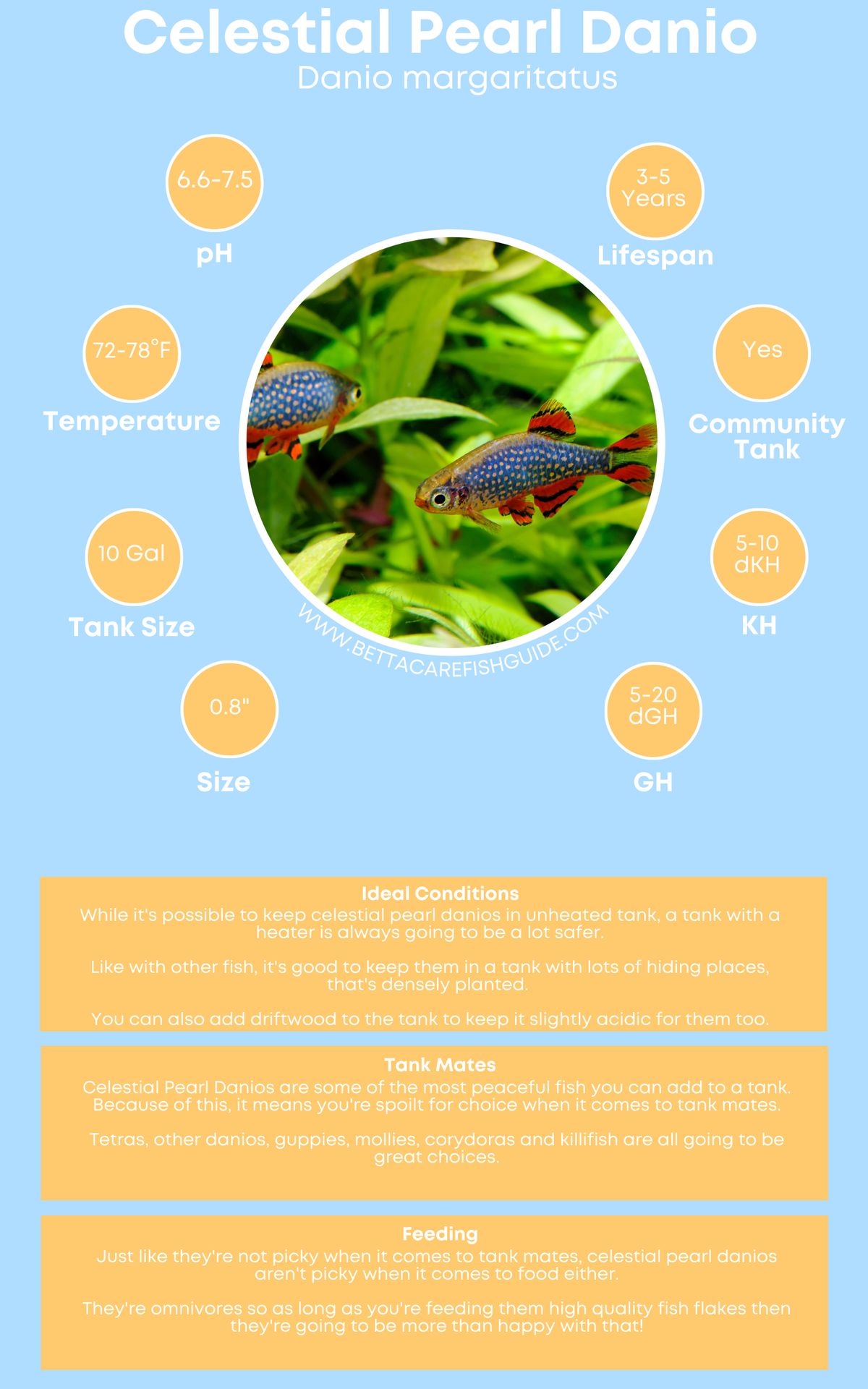 Danio Care