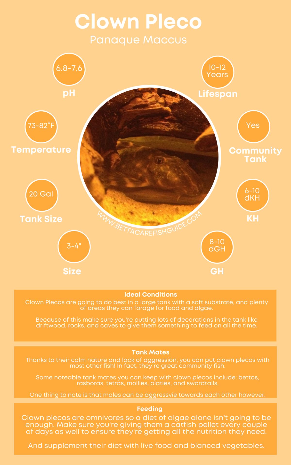 Pleco Care