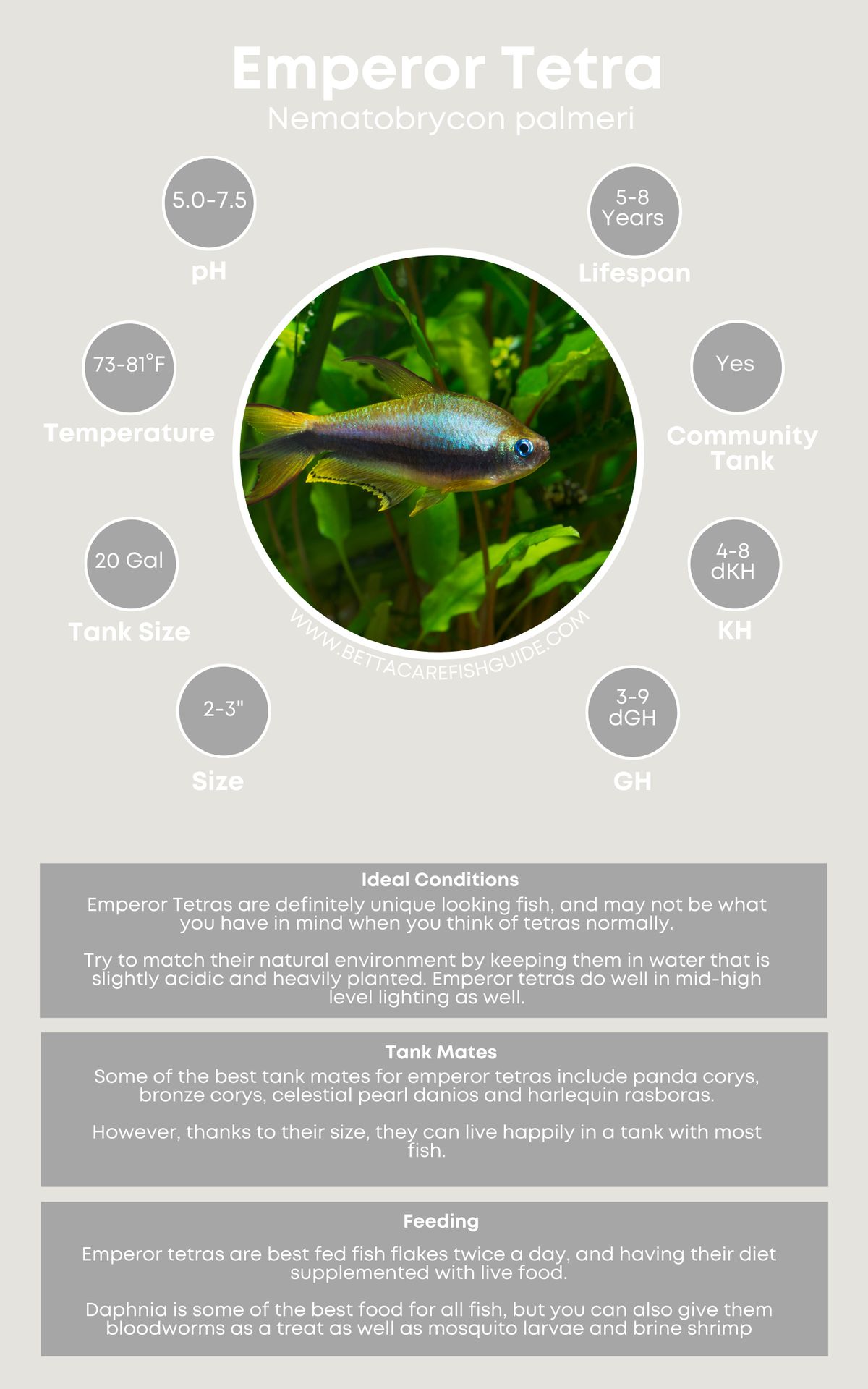 Tetra Care