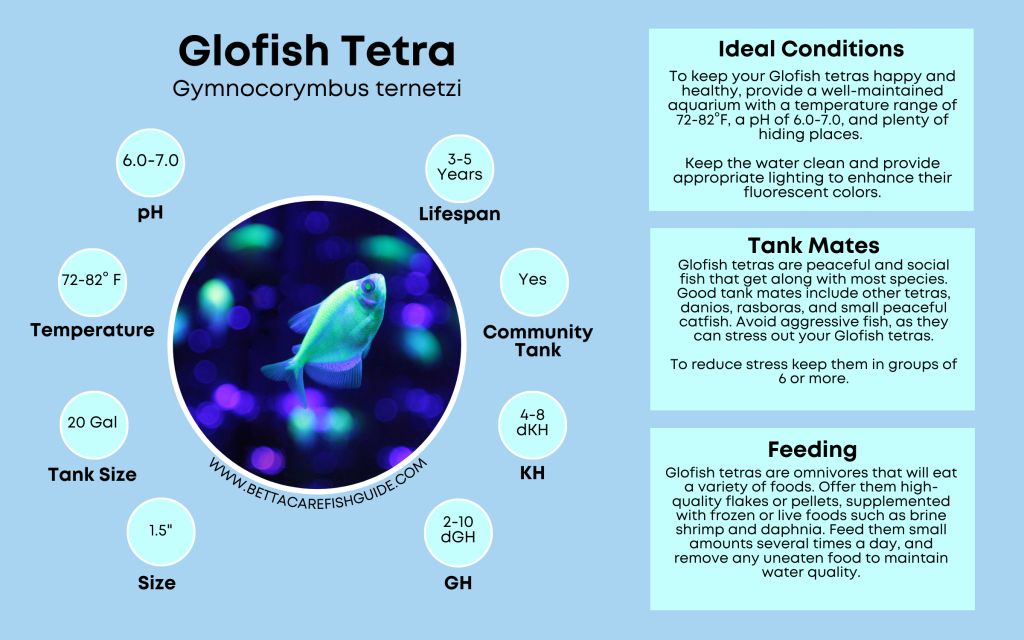 Tetra Care