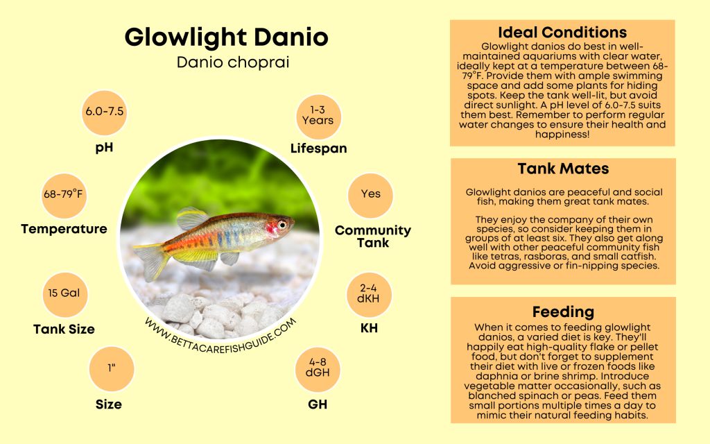 Danio Care