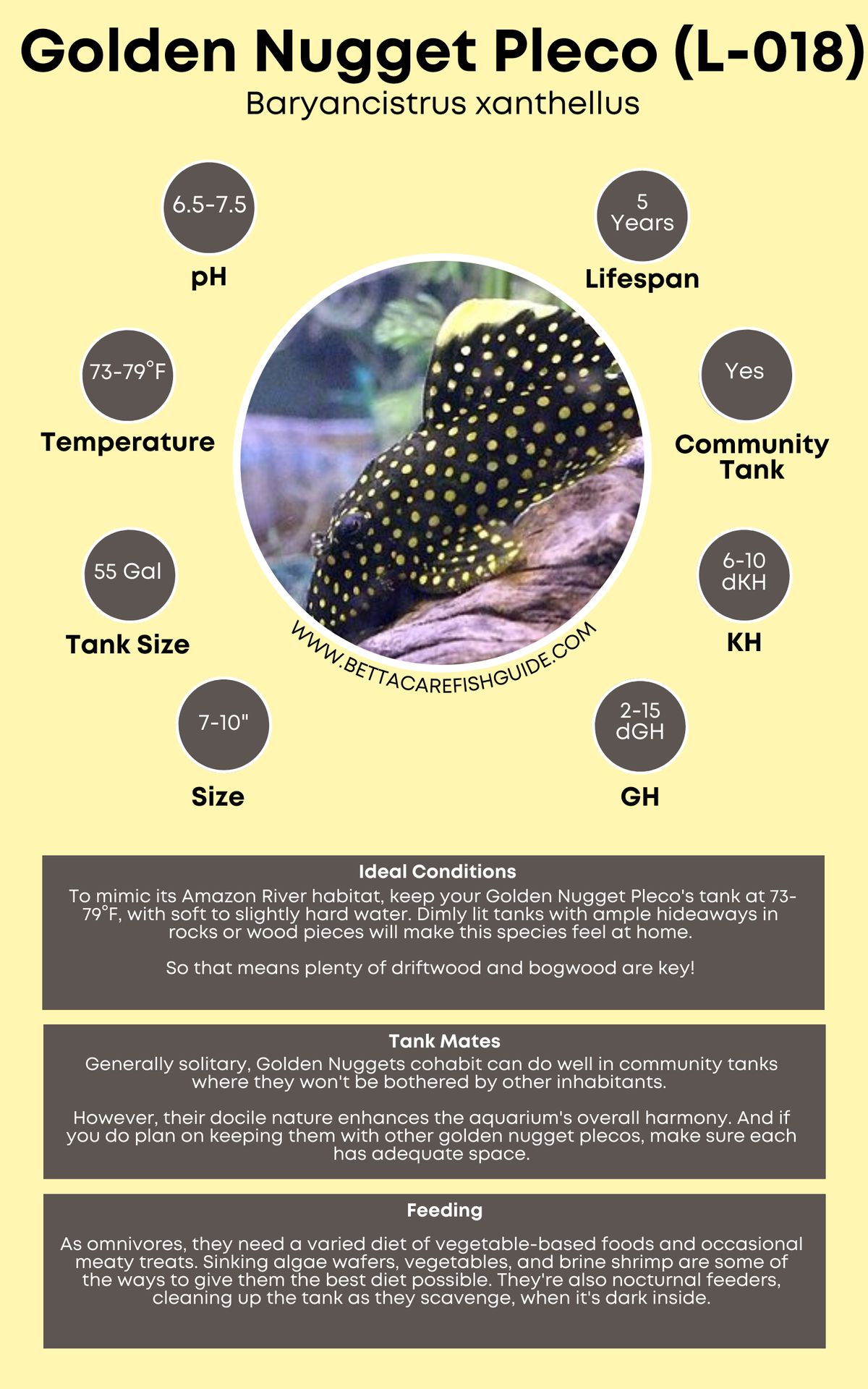 Pleco Care