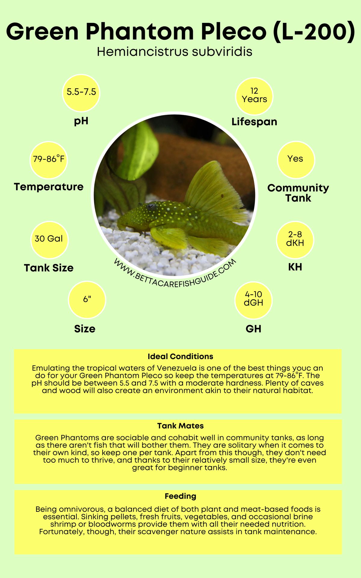 Pleco Care