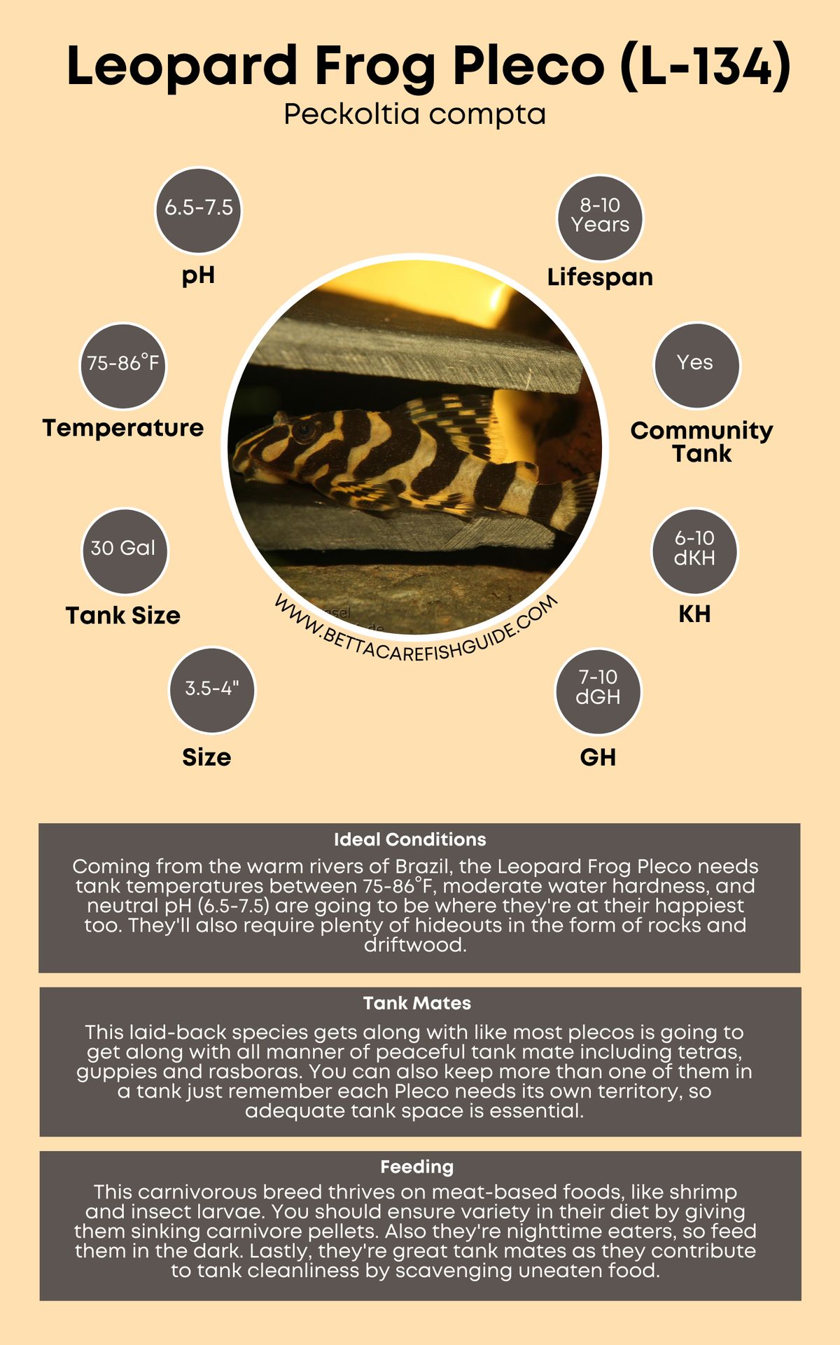 Pleco Care