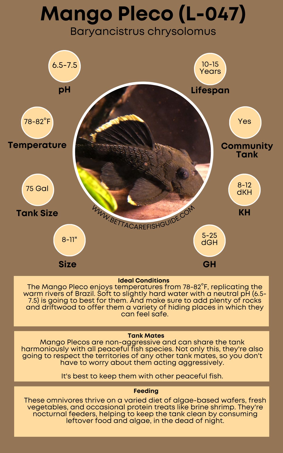 Pleco Care