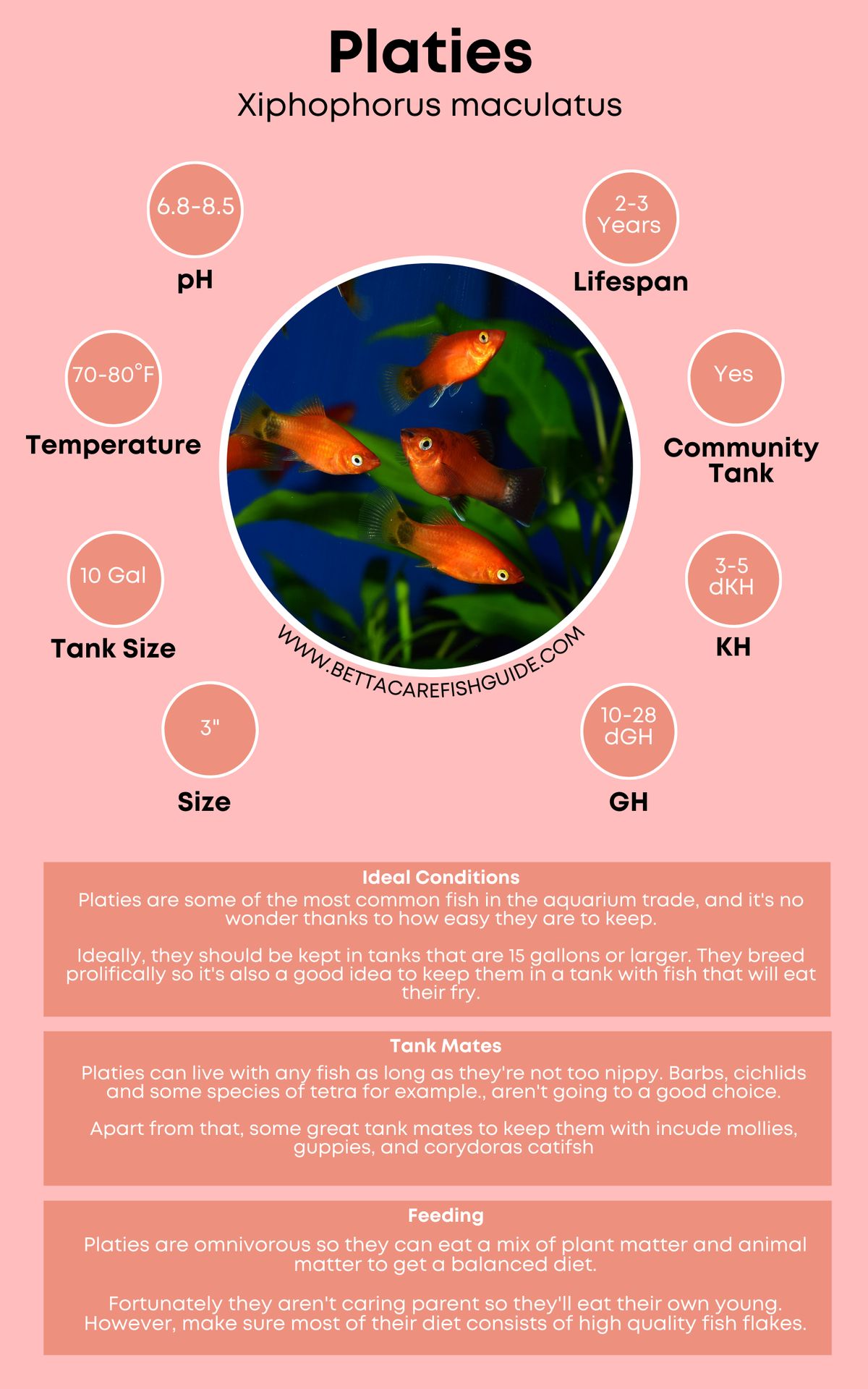 Platy Care