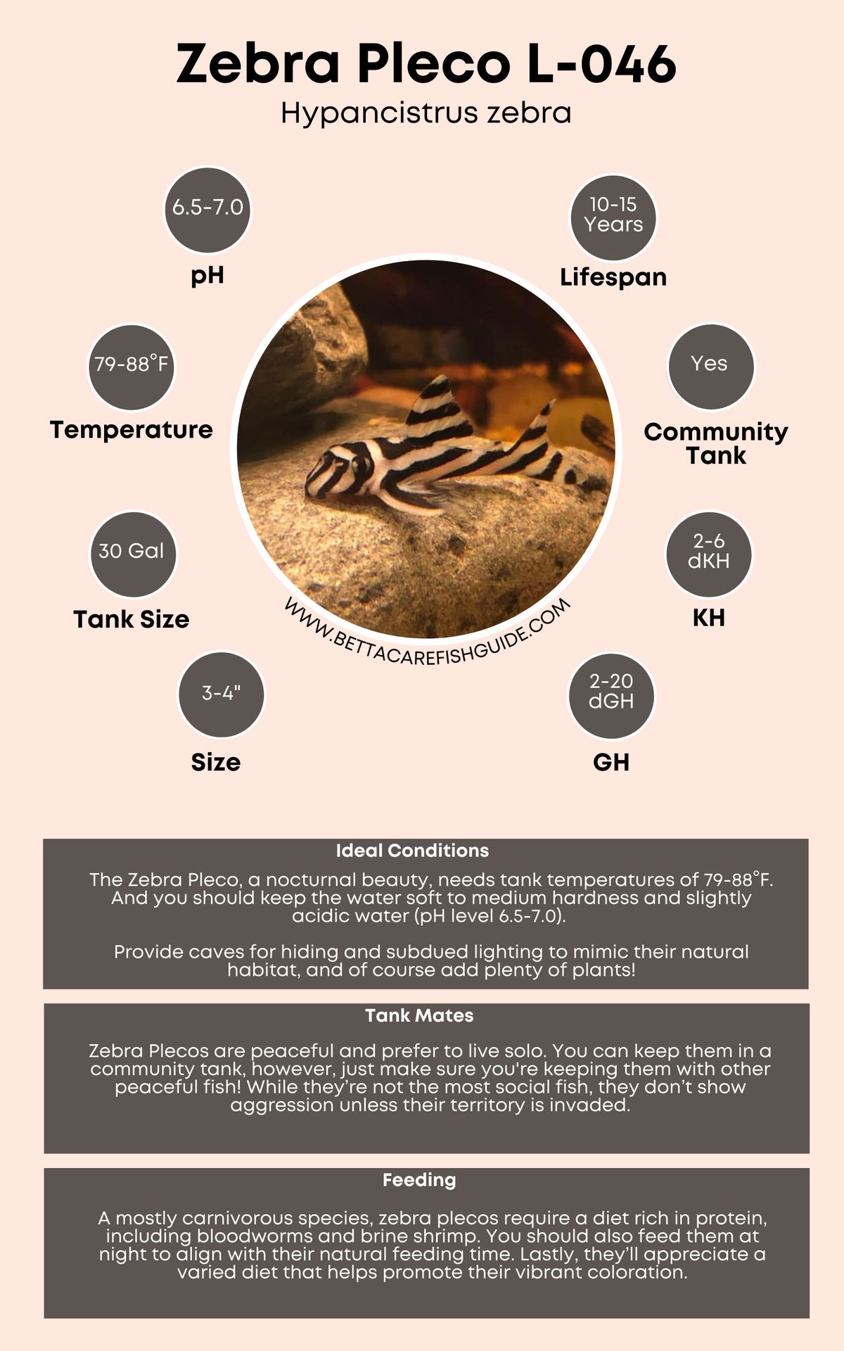 Pleco Care