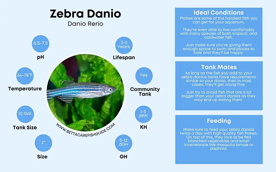 Danio Care