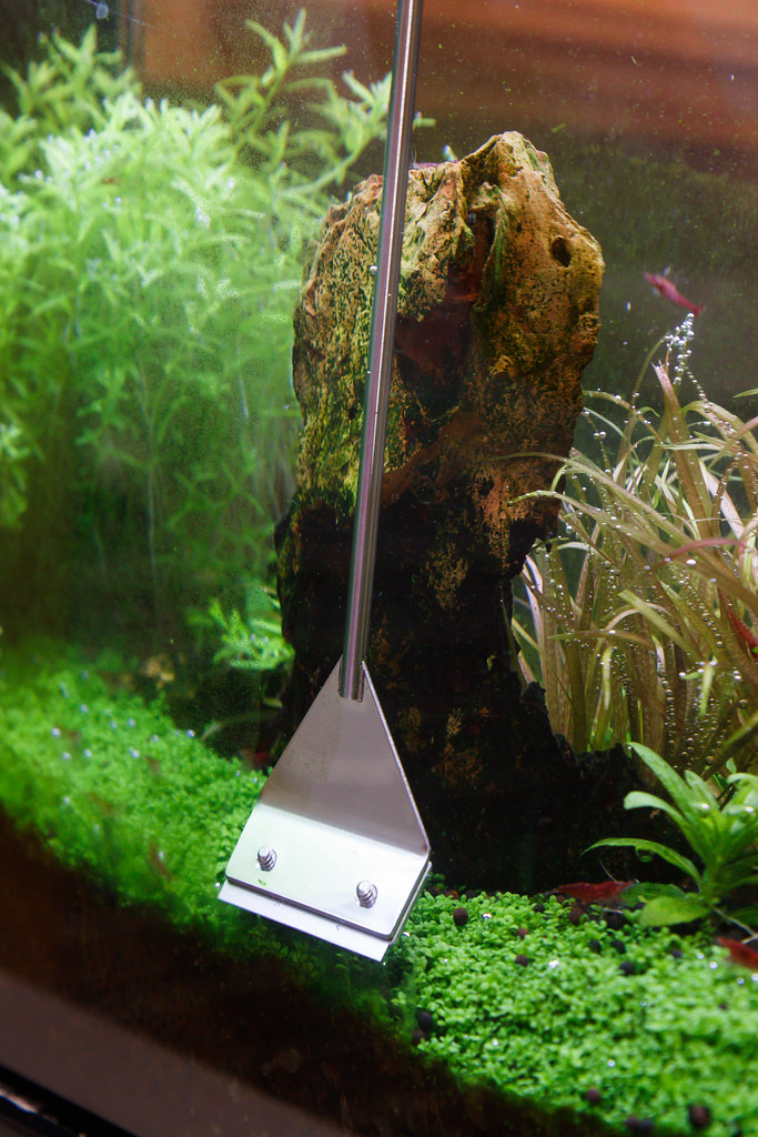 Algae Scraper