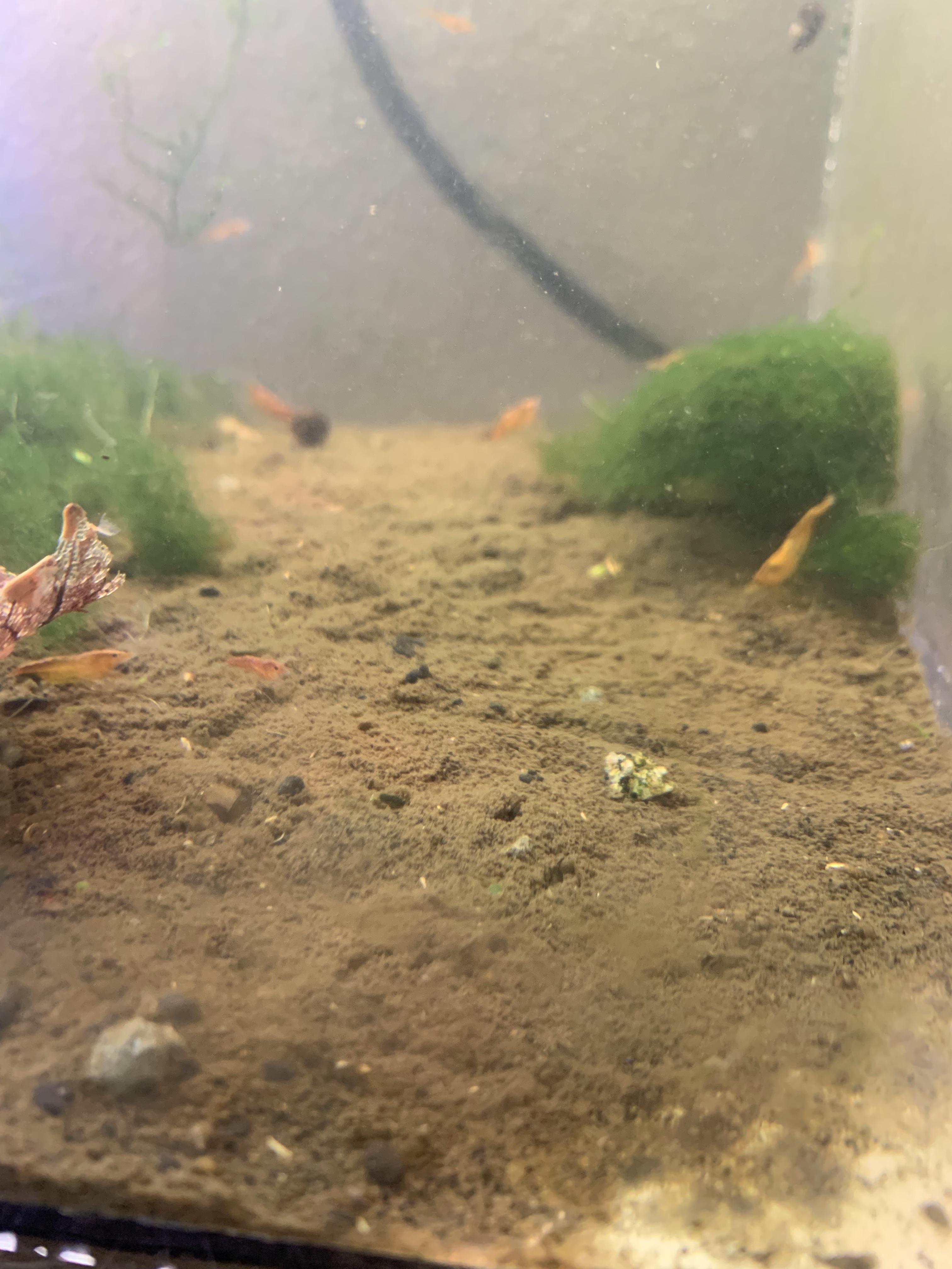 Dirty Substrate
