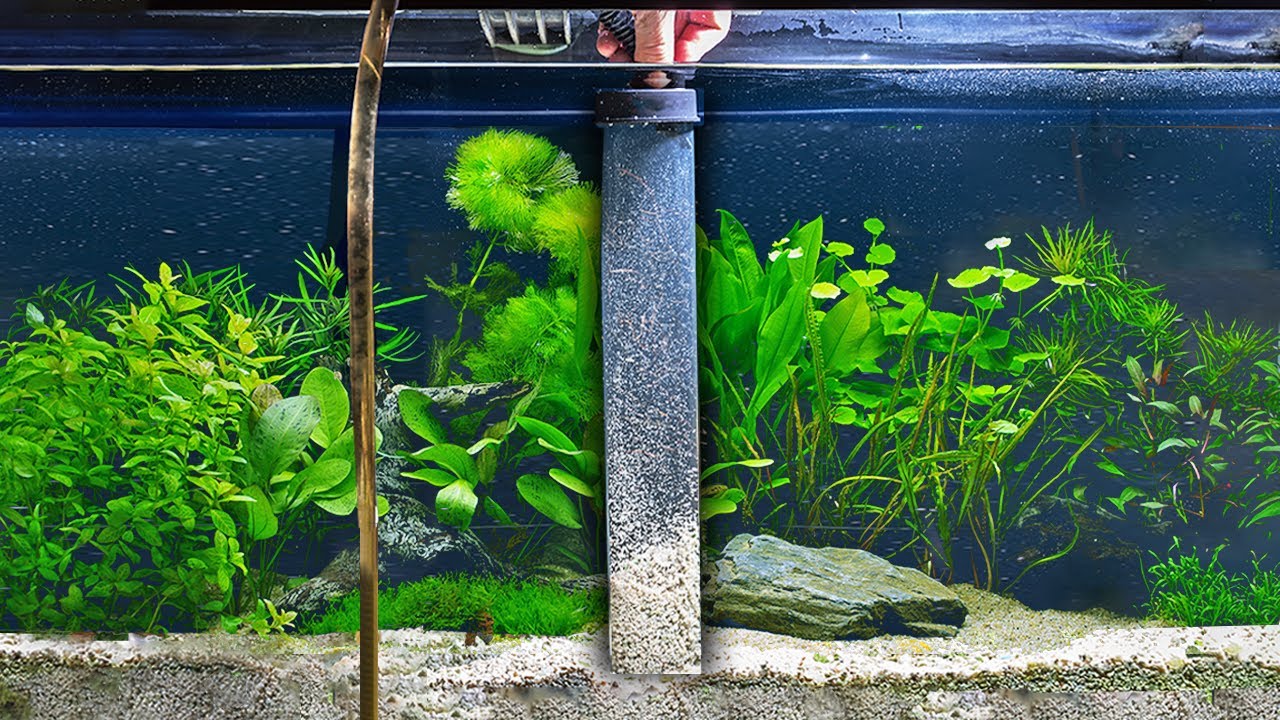Gravel Vacuum