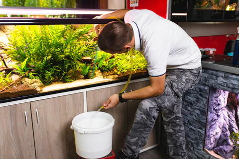 Aquarium Water Change