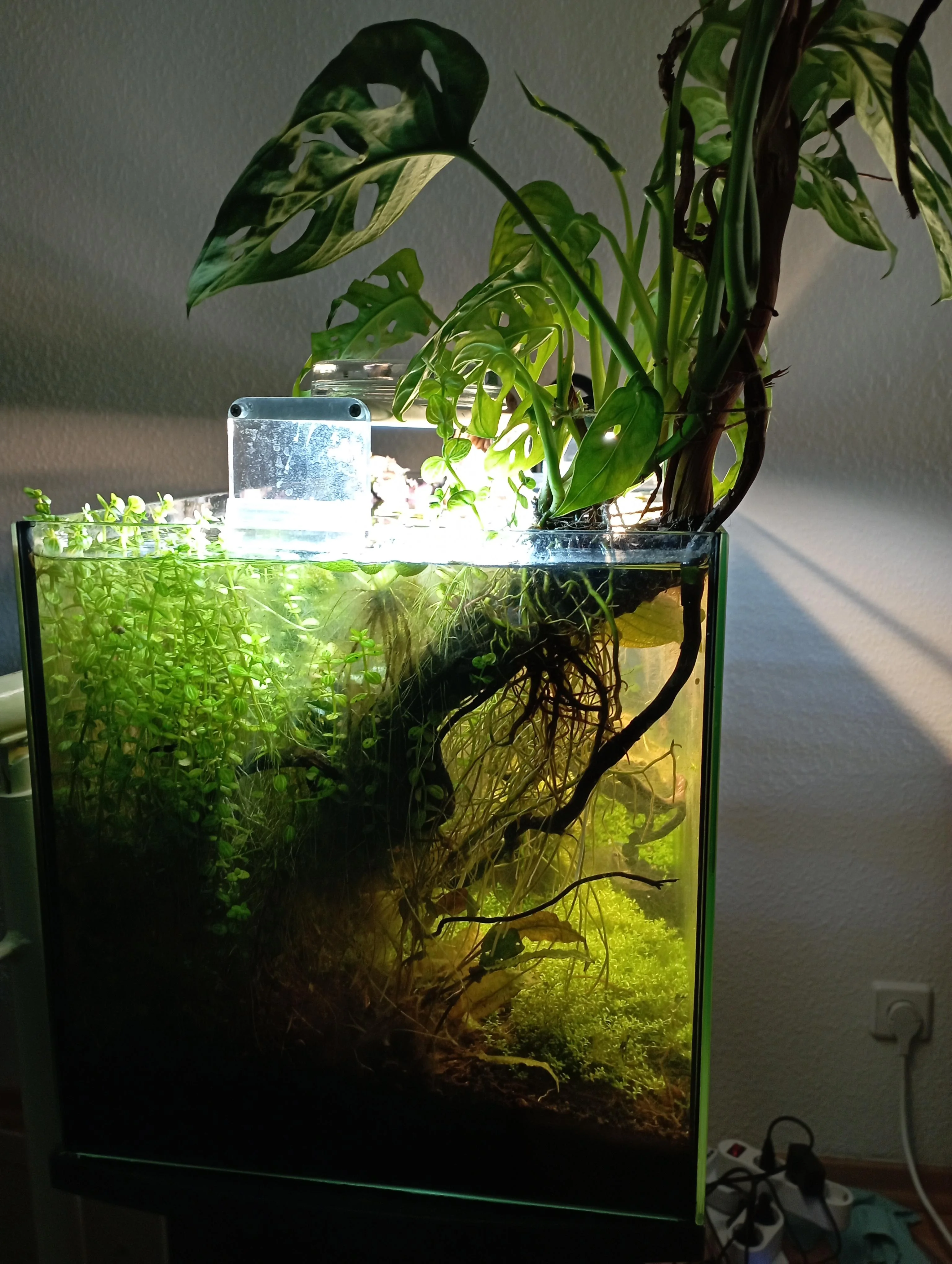 Corner Placement