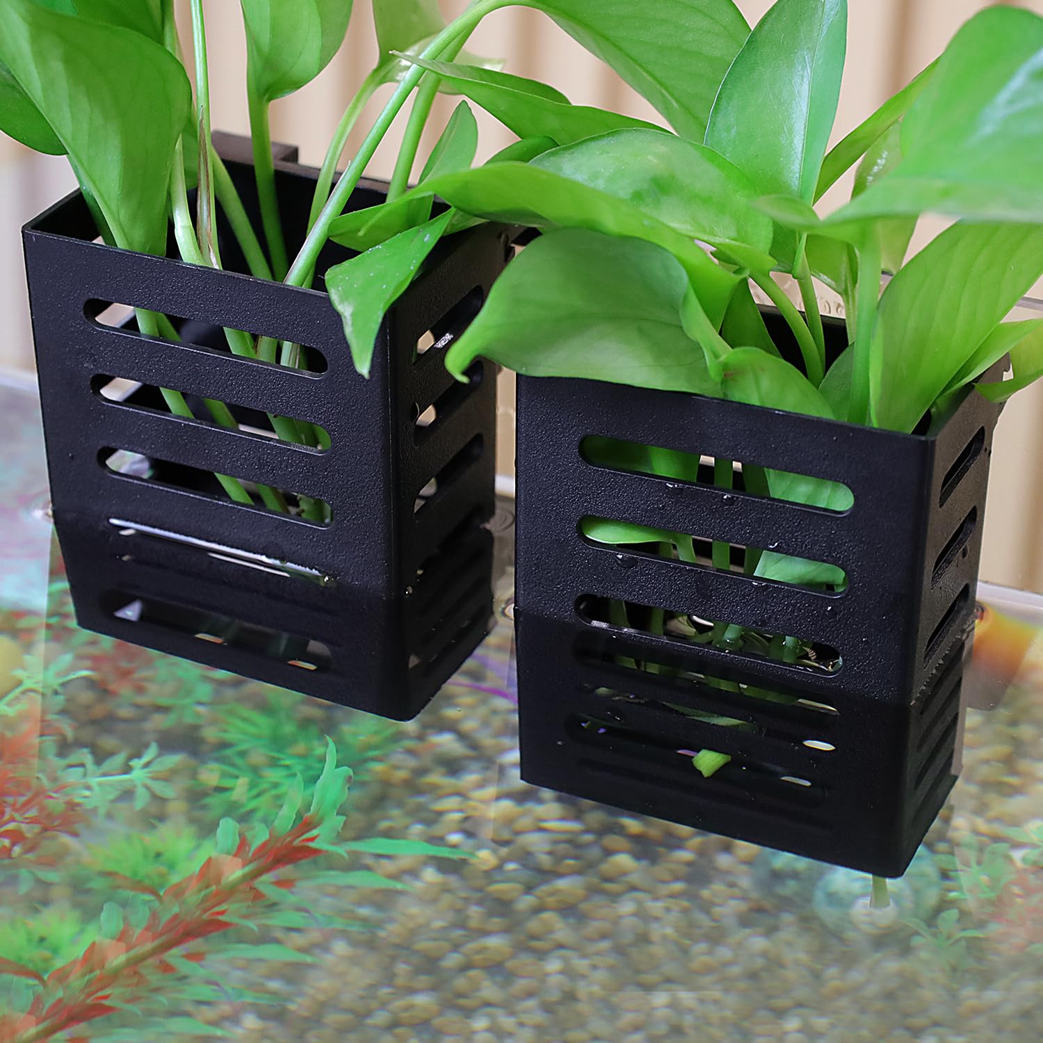 Plant Holder